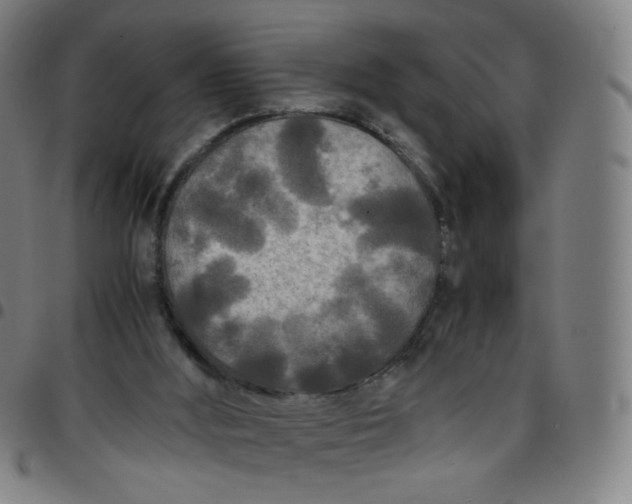 X0000097480012200803071727