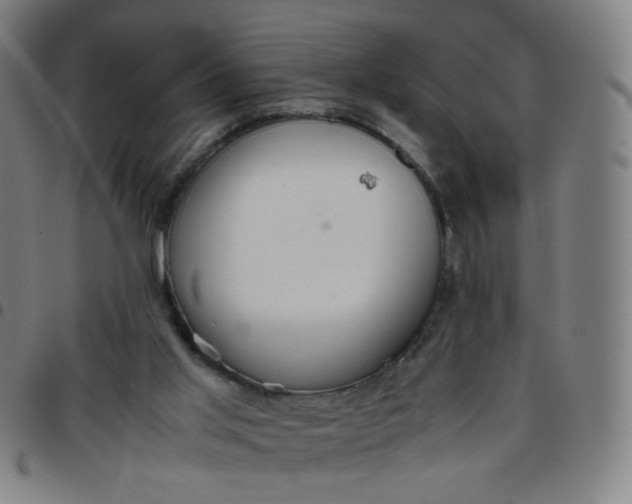 X0000097480013200803071727