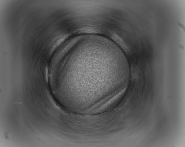 X0000097480014200803071727