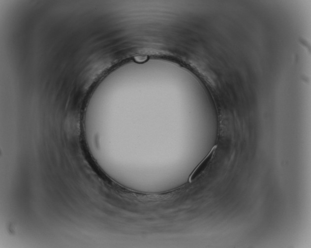 X0000097480015200803071727