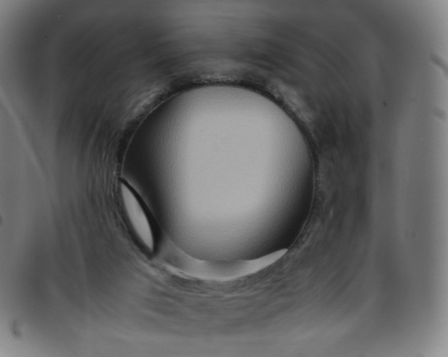 X0000097480017200803071727