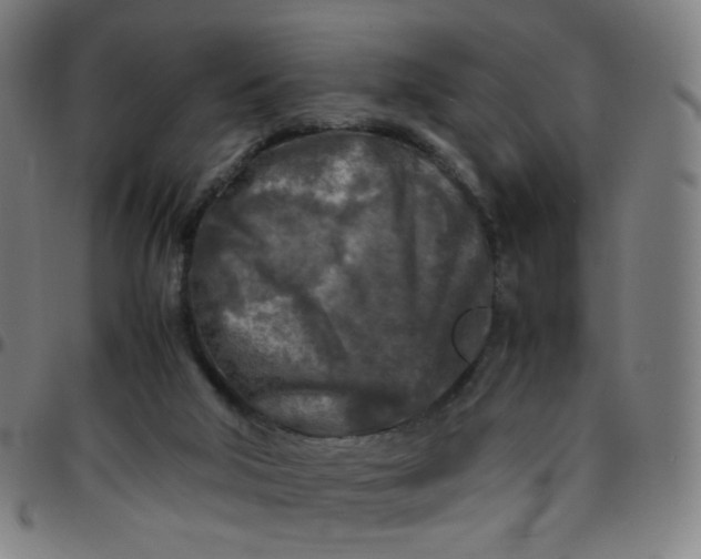 X0000097480018200803071727