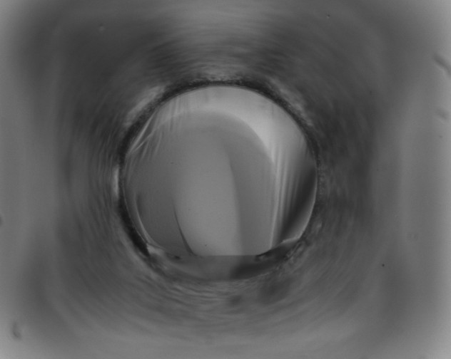 X0000097480019200803071727