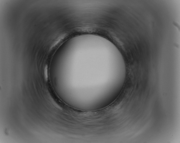 X0000097480020200803071727