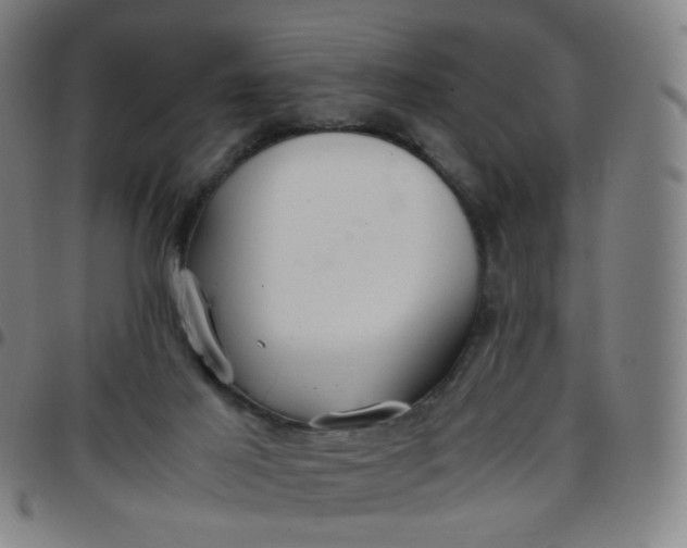 X0000097480021200803071727