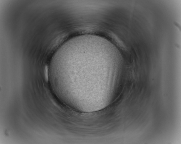 X0000097480022200803071727