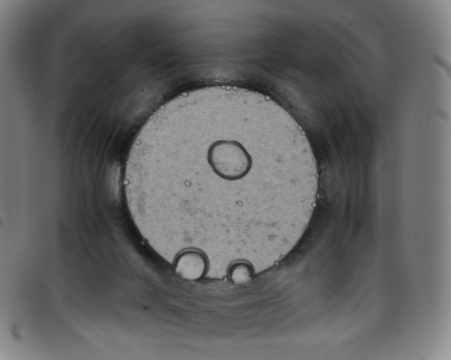 X0000097480024200803071727