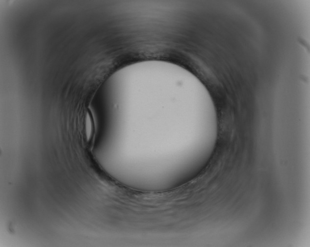 X0000097480025200803071727