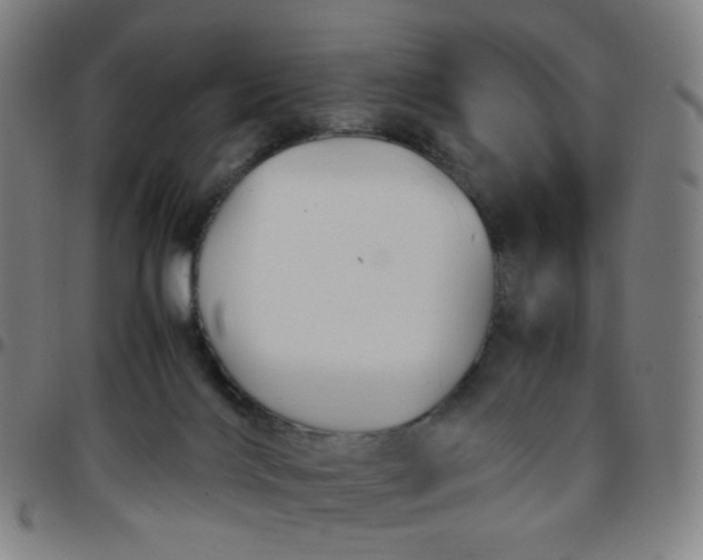 X0000097480028200803071727