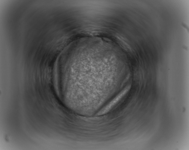 X0000097480030200803071726