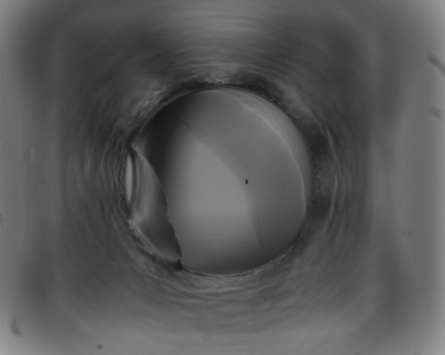 X0000097480031200803071726