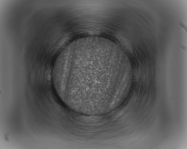 X0000097480032200803071726