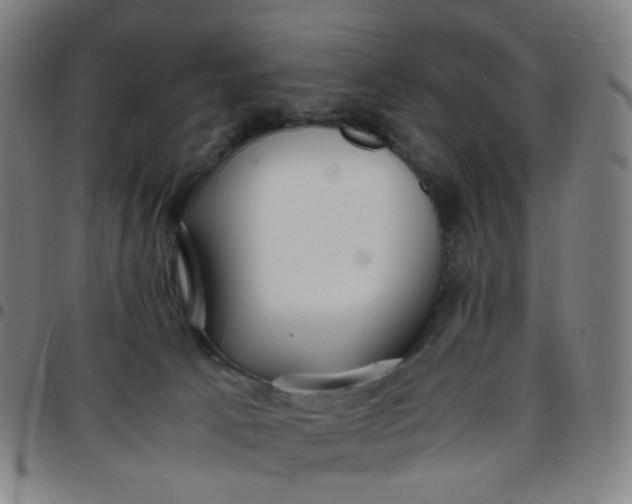 X0000097480033200803071726