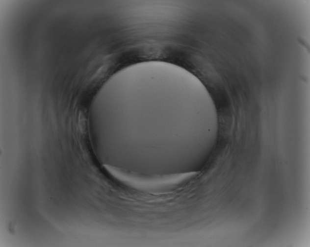 X0000097480035200803071726