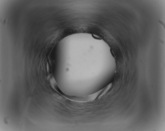 X0000097480037200803071726