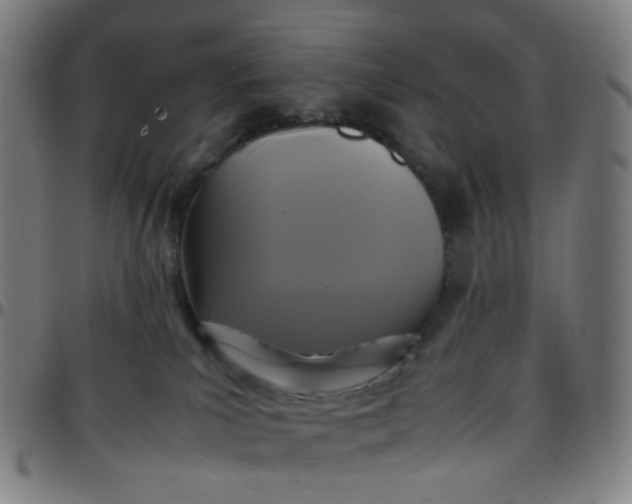 X0000097480039200803071726