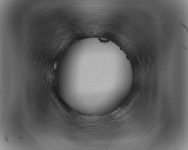 X0000097480040200803071726