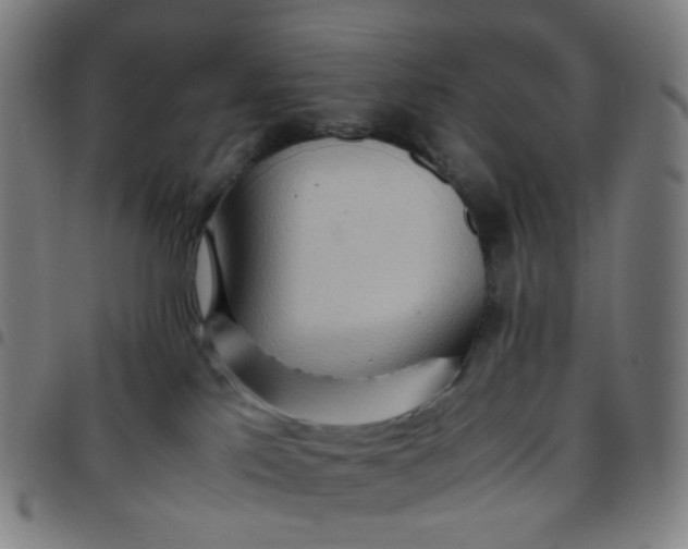 X0000097480041200803071726