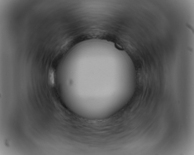 X0000097480042200803071726