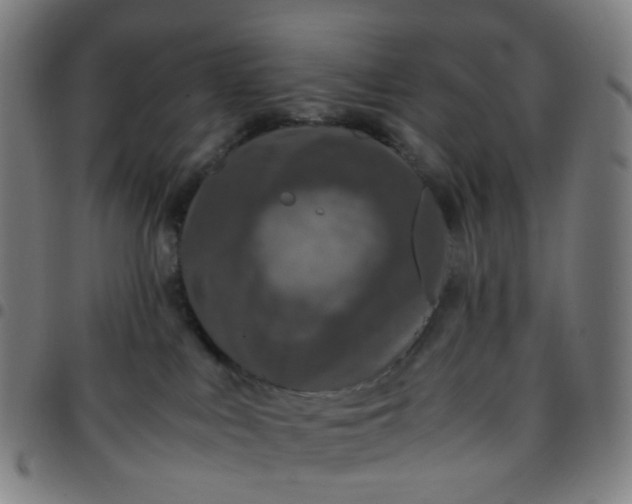 X0000097480043200803071726