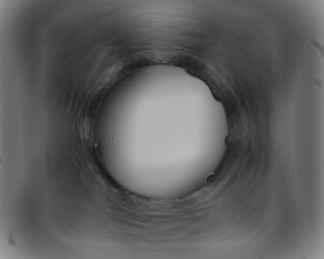 X0000097480044200803071726