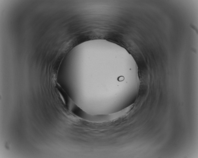 X0000097480045200803071726