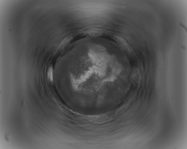 X0000097480046200803071726