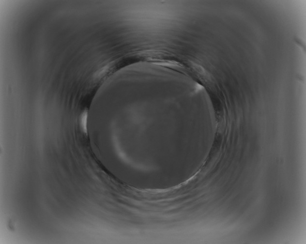 X0000097480047200803071726