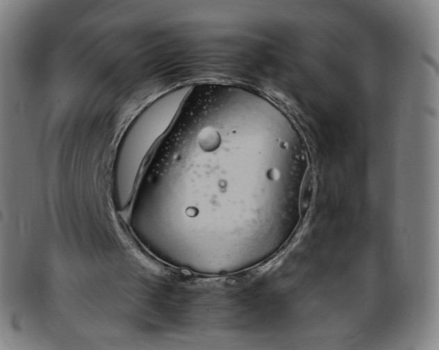 X0000097480049200803071726