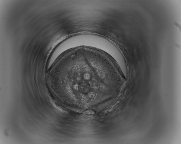 X0000097480050200803071726