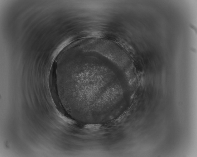 X0000097480051200803071726