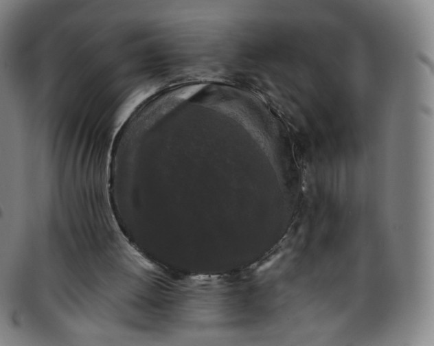 X0000097480052200803071726