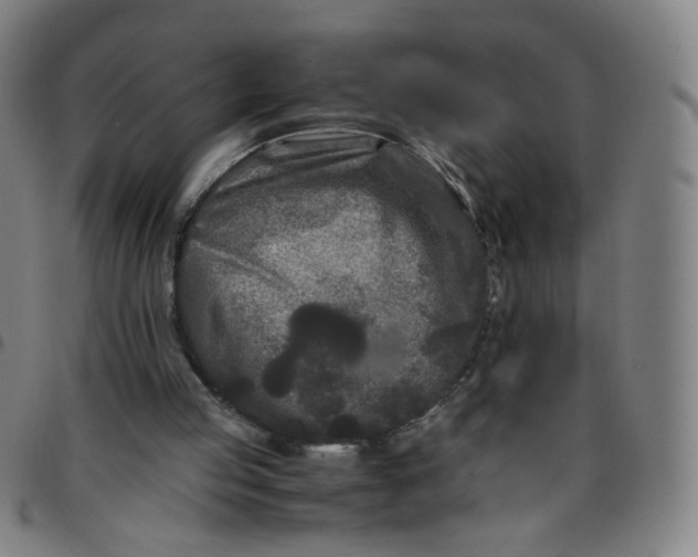 X0000097480053200803071726