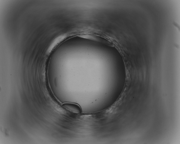 X0000097480054200803071726