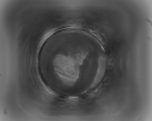 X0000097480055200803071726