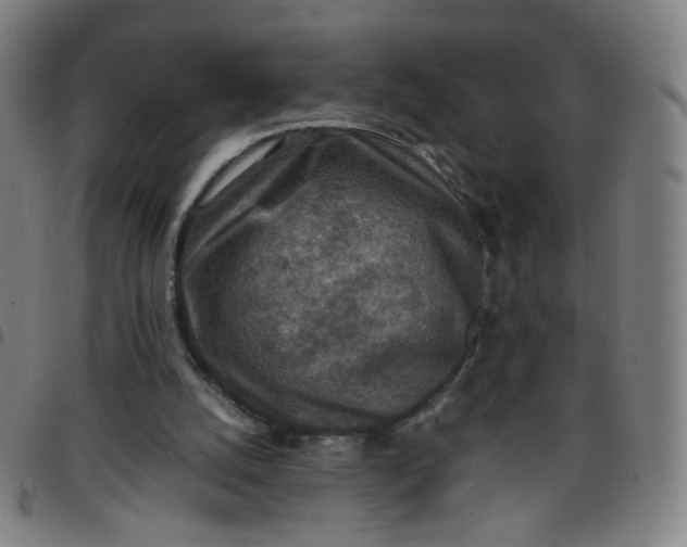 X0000097480056200803071726