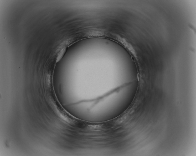 X0000097480057200803071726