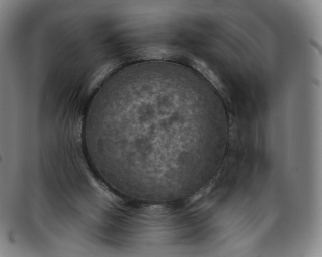 X0000097480058200803071726