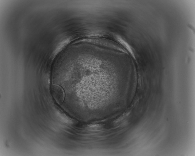 X0000097480059200803071726