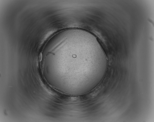 X0000097480060200803071726