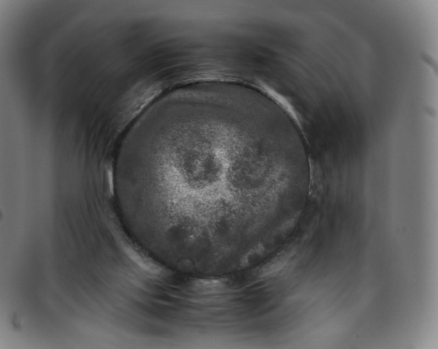 X0000097480061200803071726