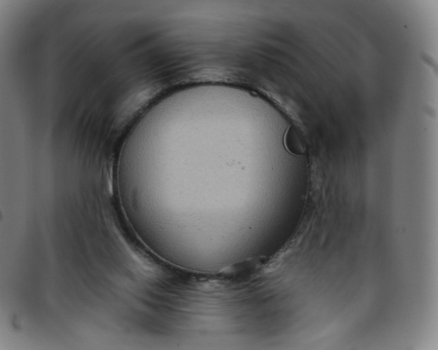 X0000097480062200803071726