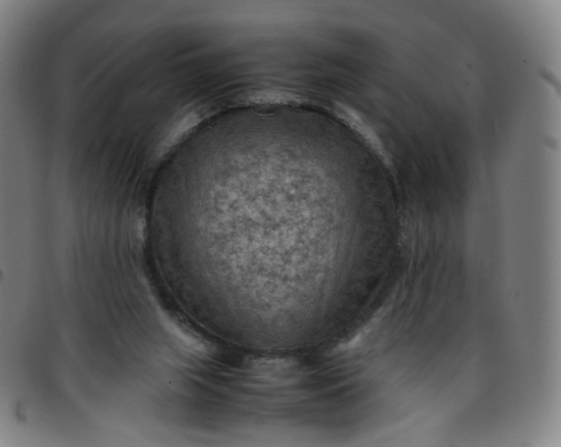 X0000097480063200803071726