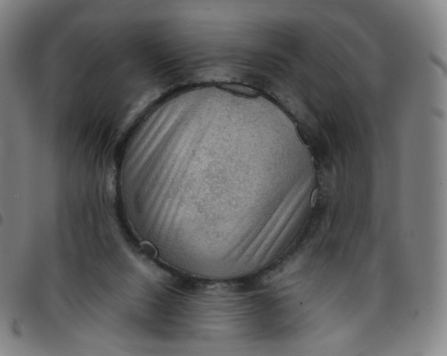 X0000097480064200803071726