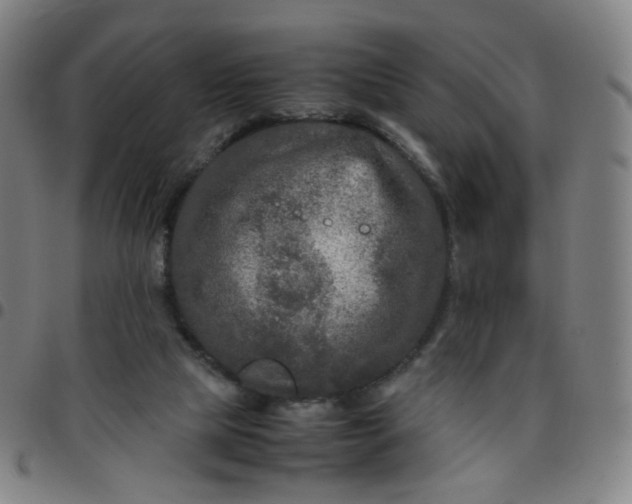 X0000097480065200803071726