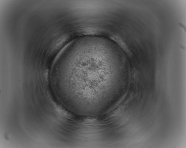 X0000097480066200803071726