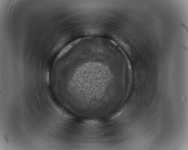 X0000097480067200803071726