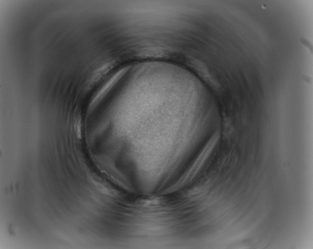 X0000097480068200803071726