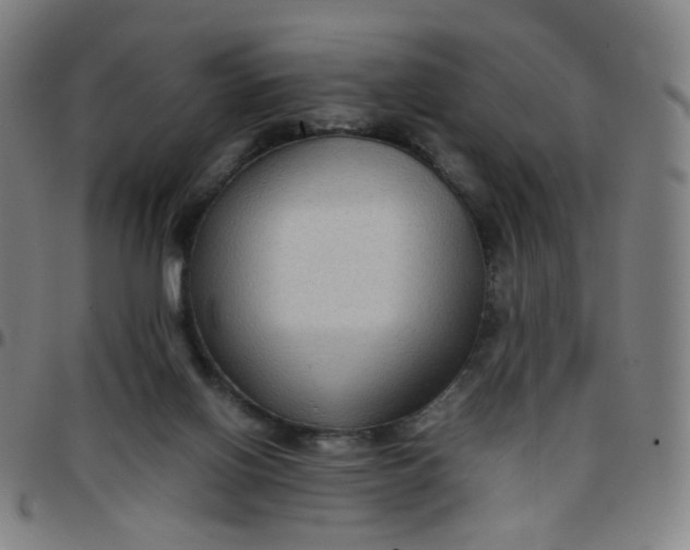 X0000097480070200803071726