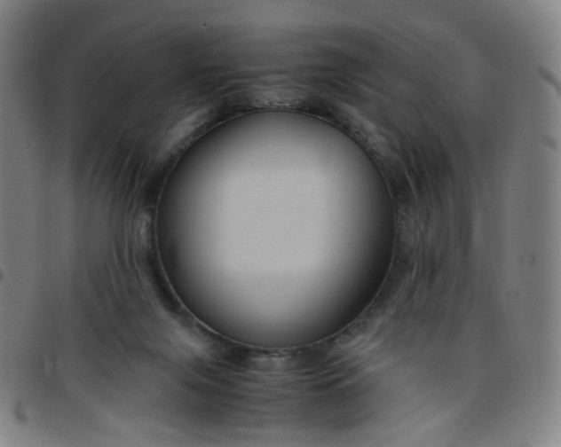 X0000097480071200803071726